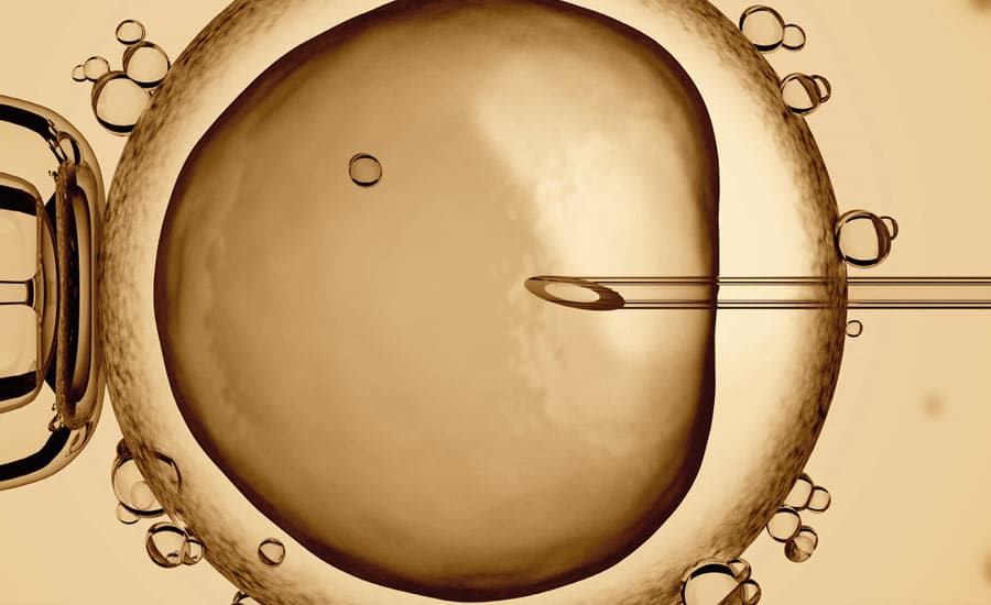 fecondation in vitro