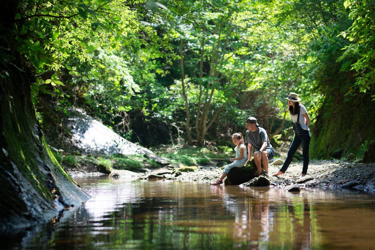 camping pleine nature