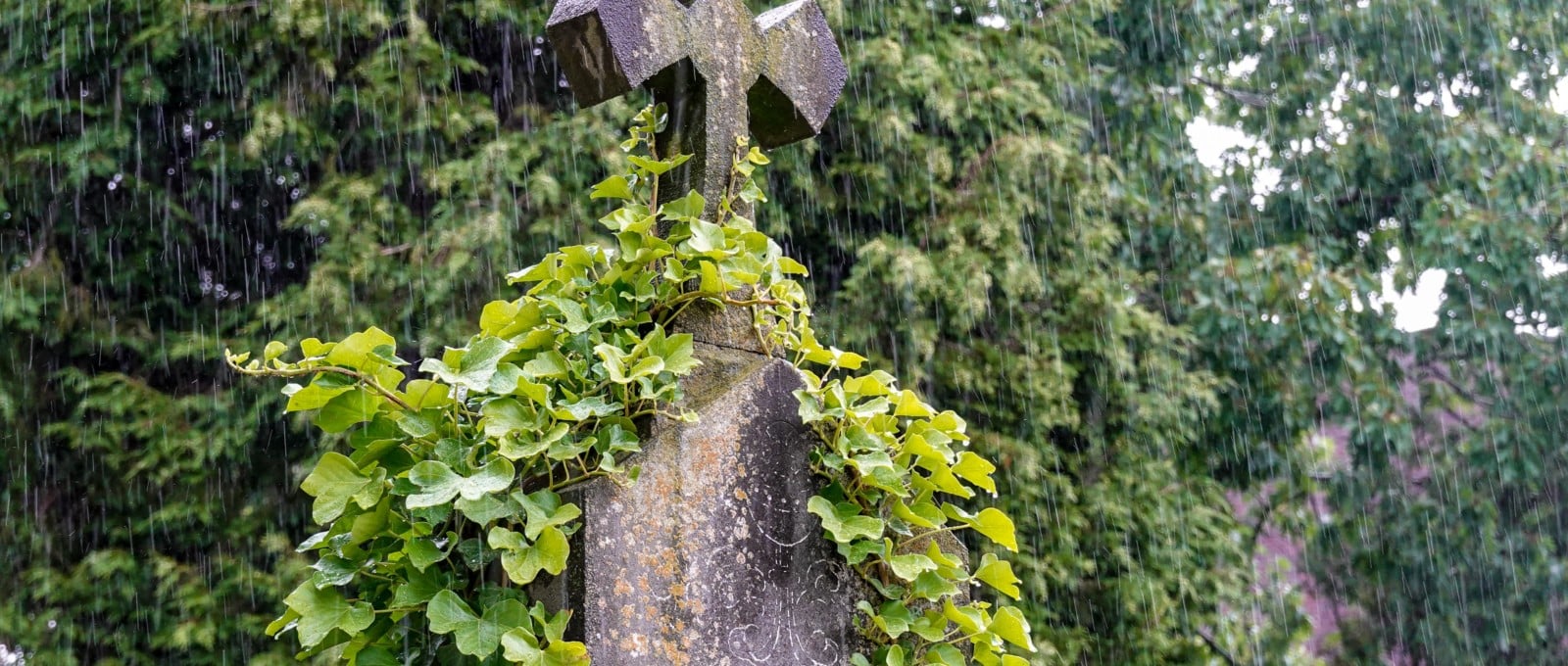 mort subite et inattendue du nourrisson