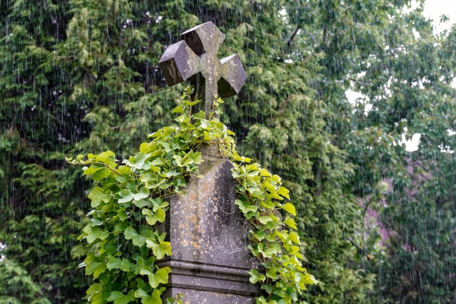 mort subite et inattendue du nourrisson