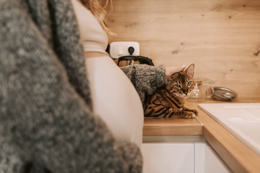 toxoplasmose pendant la grossesse causes, symptômes et traitement