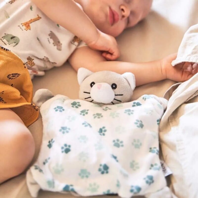 doudou bouillotte chat